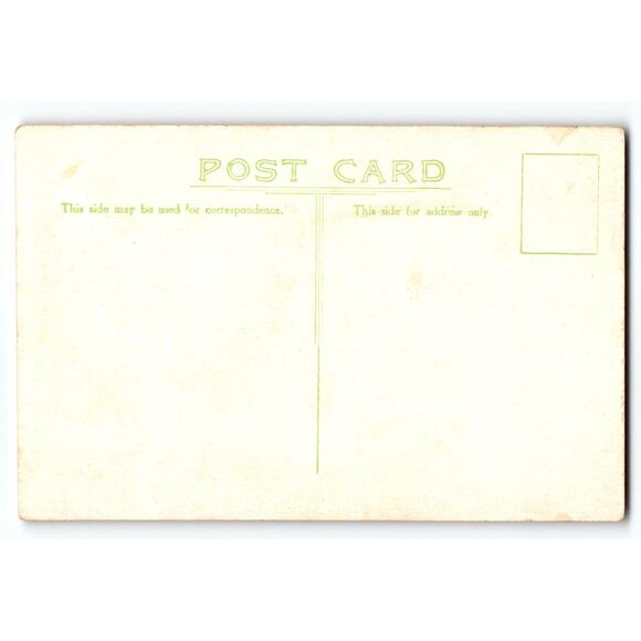 Vintage European Kingfisher Bird Lithograph Postcard with Call Note - Picture 2 of 2